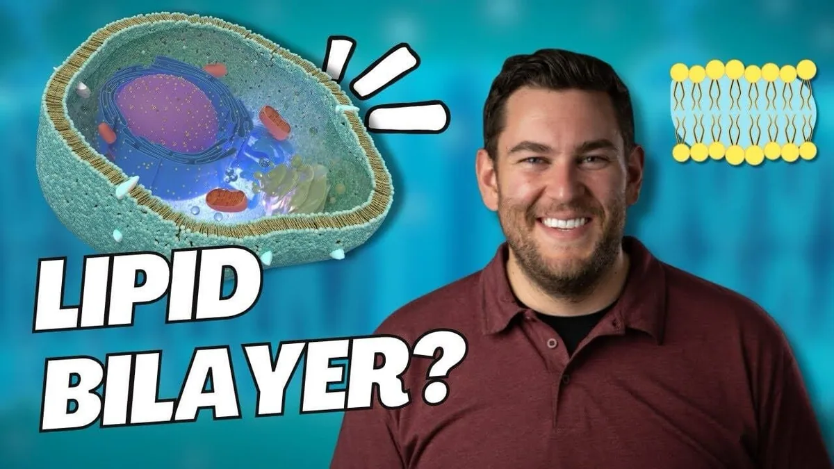 PEMT and connection to choline and glutathione! video thumbnail