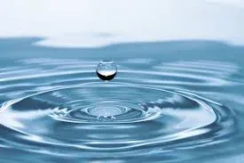 Water - Lotus Life article image