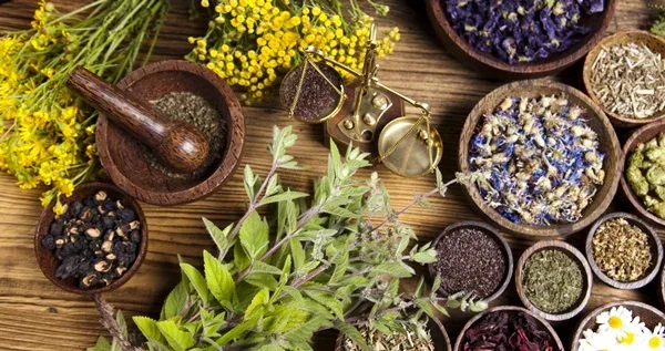 Finding Natural Remedies article image