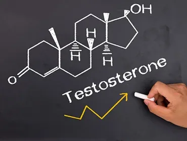 Testosterone for Vaginal Dryness & Muscle Wasting in Women article image
