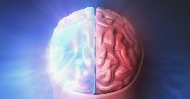 Improve Your Brain Health to Prevent Cognitive Decline article image
