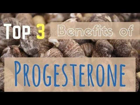 Top Three Benefits of Progesterone video thumbnail
