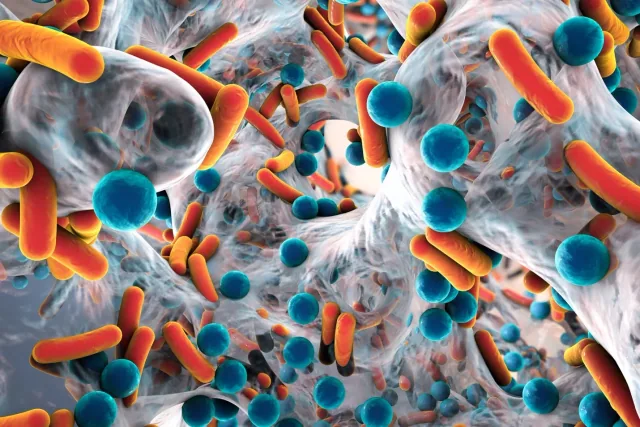 The Role of Glutathione in Disrupting Biofilms article image