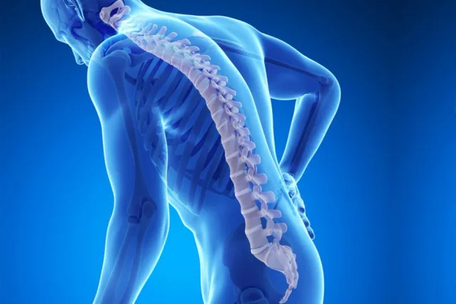 Natural Osteoporosis Therapy article image