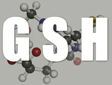 The Only Usable Form of Glutathione Is Reduced Glutathione (GSH)! article image